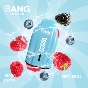 Bang Leader 18000 Puffs 09