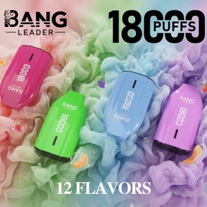 leader vap Résistances B Series GeekVape : Compatibilité et Variété pour Aegis Boost  et Plus main image 0