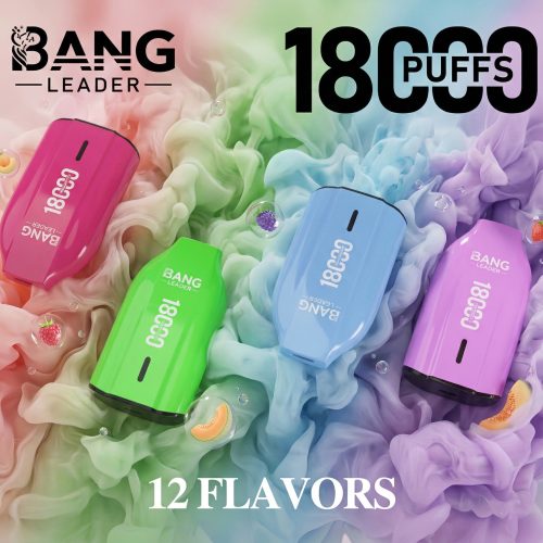 Bang Leader 18000 Puffs