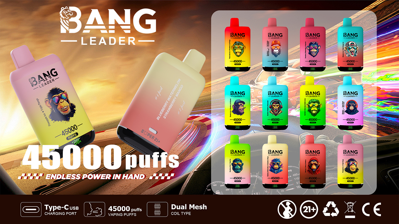 Bang Leader 45000 Puffs Dual Flavors