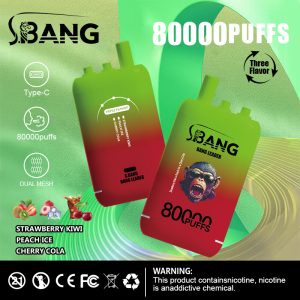 Bang Leader 80000 Puffs 07