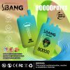 Bang Leader 80000 Puffs 09