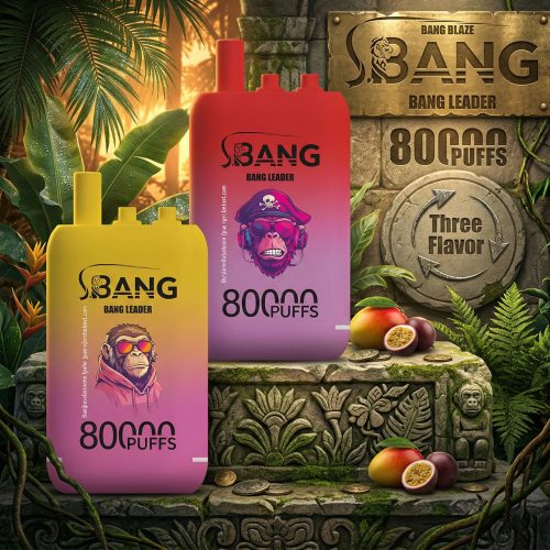 Bang Leader 80000 Puffs