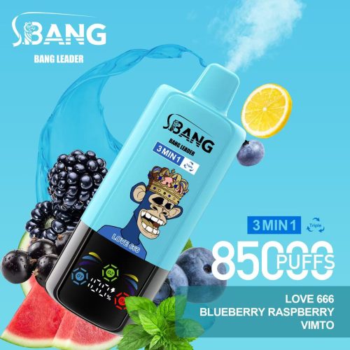 Bang Leader 85000 Puffs 01