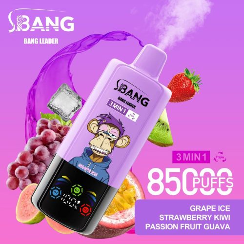 Bang Leader 85000 Puffs 02