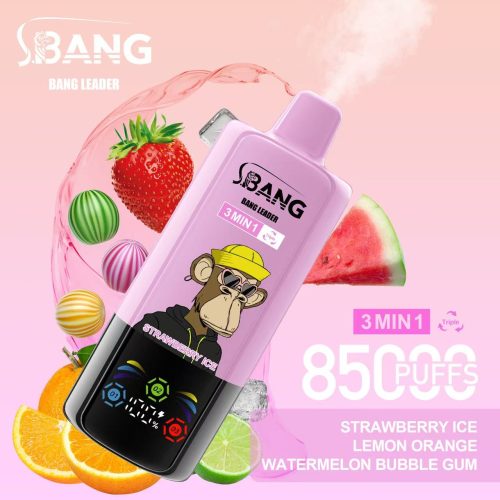 Bang Leader 85000 Puffs 03
