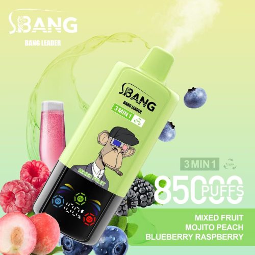 Bang Leader 85000 Puffs 04
