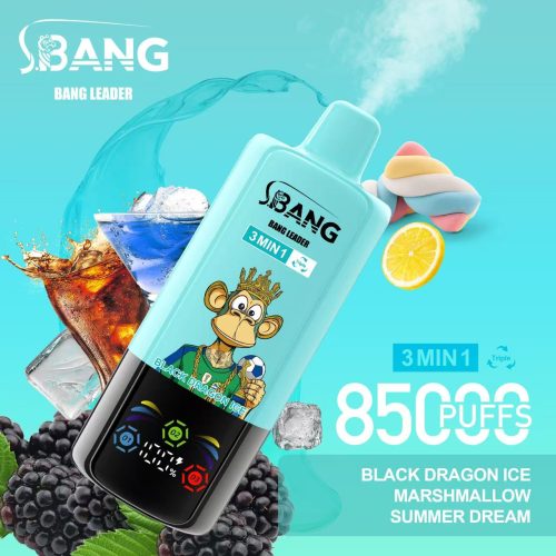 Bang Leader 85000 Puffs 05