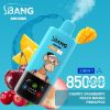 Bang Leader 85000 Puffs 06