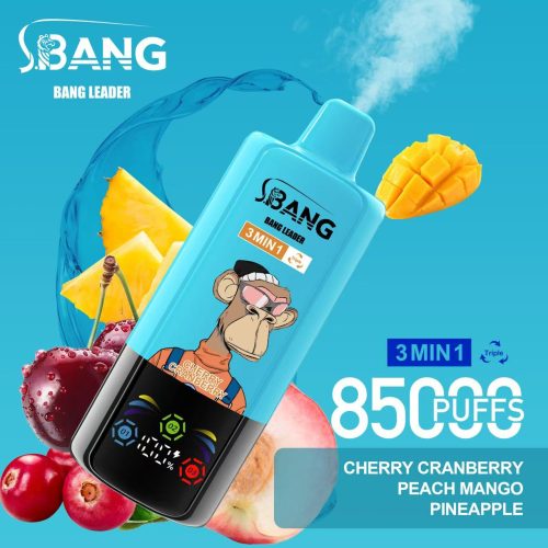 Bang Leader 85000 Puffs 06