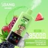 Bang Leader 85000 Puffs 07