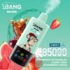 Bang Leader 85000 Puffs 08