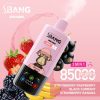 Bang Leader 85000 Puffs 09