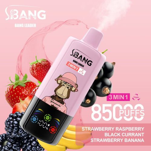 Bang Leader 85000 Puffs 09