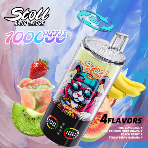 Bang Leader Stoll 100000 Puffs 08