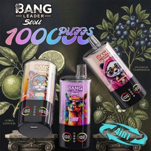 100K Puffs - Einweg-Vapes fr ultimative Langlebigkeit