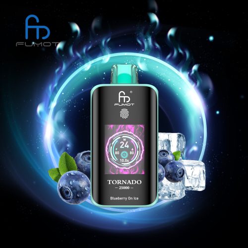 Blueberry On lce RandM Tornado 25000 Puffs