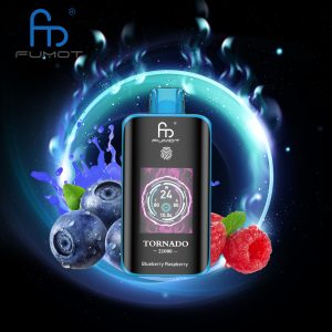 Blueberry Raspberry RandM Tornado 25000 Puffs