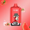 ELF BOX Digital 12000 Puffs Watermelon ice