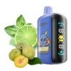 Elf Bar GH 23000 Puffs 2