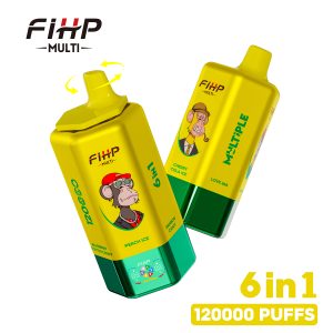 FIHP 120000 Puffs 09