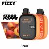 Fizzy Boom 13000 Puffs 09