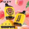 Fizzy Great 10000 Puffs 05 Fizzy Great 10000 Puffs 05