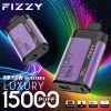Fizzy Luxury 15000 Puffs 09