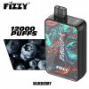 Fizzy Pandora 12000 Puffs 01 Fizzy Pandora 12000 Puffs 01