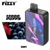 Fizzy Pandora 12000 Puffs 06 Fizzy Pandora 12000 Puffs 06