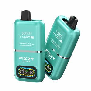 Fizzy Twins 50000 Puffs 09