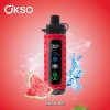OKSO Shisha Max 40000 Puffs 02