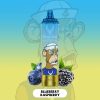 STAG BAR Star 15000 Puffs Blueberry Raspberry