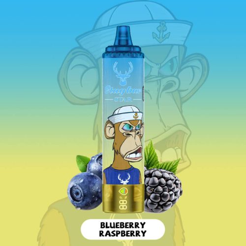 STAG BAR Star 15000 Puffs Blueberry Raspberry