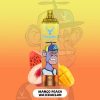 STAG BAR Star 15000 Puffs Mango Peach Watermelon