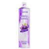 Vapme Shisha 15000 Puffs 07