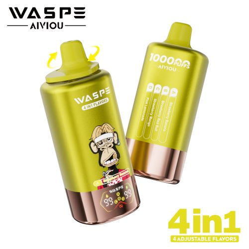 WASPE 4 in 1 100000 Puffs 05