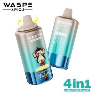 WASPE 4 in 1 100000 Puffs 09