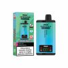 WGA Crystal Plus 20000 Puffs 06