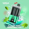 WGA Legend Ultra 30000 Puffs 06