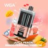WGA Legend Ultra 30000 Puffs 08