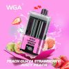 WGA Legend Ultra 30000 Puffs 09
