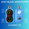 Zooy Blaze 25000 Puffs 06