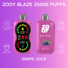 Zooy Blaze 25000 Puffs 08