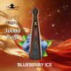 Solaris Tequila Don Leon 1942 30000 Puffs Blueberry Ice