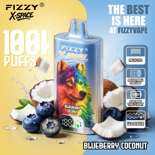 Fizzy X-Space 100K Blueberry Coconut Fizzy X-Space 100K Blueberry Coconut