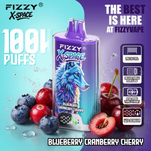 Fizzy X-Space 100K Blueberry Cranberry Cherry